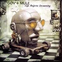In My Life - Gov't Mule