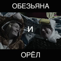 Обезьяна и орёл - Ленинград