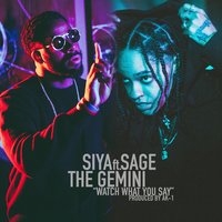 Watch What You Say - Siya, Sage The Gemini