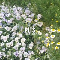 Call Me Out - PLTS