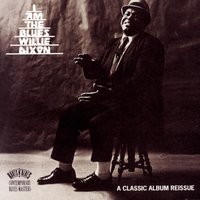 Back Door Man - Willie Dixon