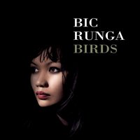 Ruby Nights - Bic Runga