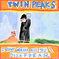 I Don't Wanna Miss You - Twin Peaks