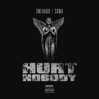 Hurt Nobody - Sneakbo