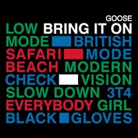 Slow Down - Goose