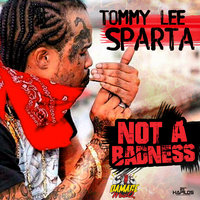 Not a Badness - Tommy Lee Sparta