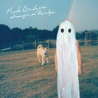 Motion Sickness - Phoebe Bridgers