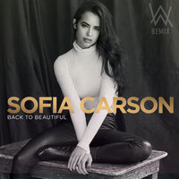 Back to Beautiful - Sofia Carson, Alan Walker