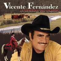 Lejos de Mi Tierra - Vicente Fernandez