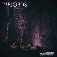 Anaesthesia - The Fjords