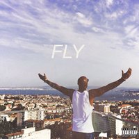 Fly - Hendersin