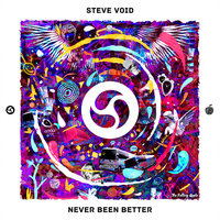 Never Been Better - Steve Void
