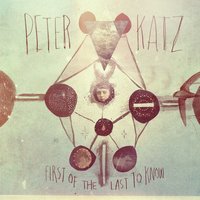 To See You - Peter Katz