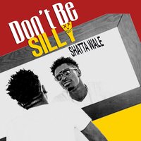 Don't Be Silly - Shatta Wale