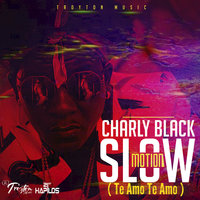 Slow Motion (Te Amo Te Amo) - Charly Black