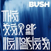 Be Still My Love - Bush