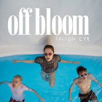 Falcon Eye - Off Bloom