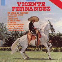 El Cantador - Vicente Fernandez