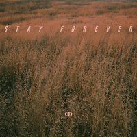 Stay Forever - Ookay