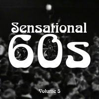 You Can't Beat It - Sensational 60's, The Troggs