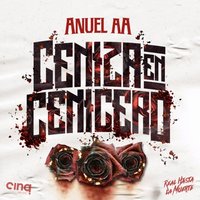 Ceniza En Cenicero - Anuel Aa