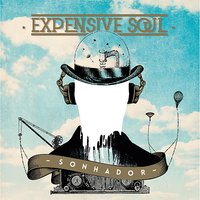 Expensive Soul