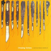 Is This What You Want? - Chasing Victory
