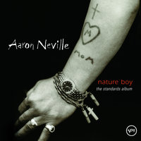 Since I Fell For You - Aaron Neville