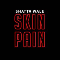 Skin Pain - Shatta Wale