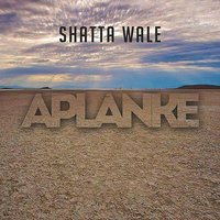 Aplanke - Shatta Wale
