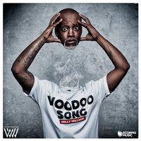 Voodoo Song - Willy William