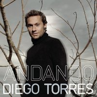 Por Ser Como Soy - Diego Torres