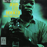 I Believe I’ll Go Back Home - John Lee Hooker