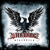 We Don't Care At All - Alter Bridge