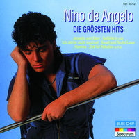 Die wilden Jahre - Nino de Angelo
