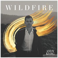 Wildfire - Andy Kong