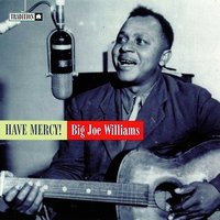 Stool Pigeon Blues - Big Joe Williams