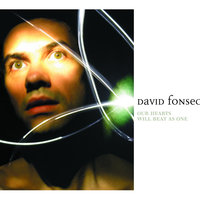 Open Legs Wide - David Fonseca