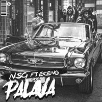 Palava - Nsg