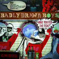 How? - Badly Drawn Boy