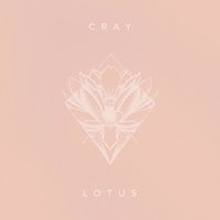 Lotus - Cray