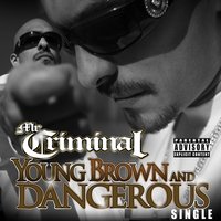 Young, Brown and Dangerous - Mr. Criminal