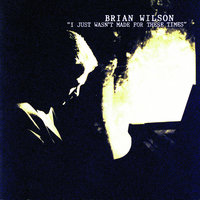 Let The Wind Blow - Brian Wilson