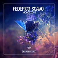 Woodstock - Federico Scavo