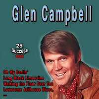 It's Be So Long, Darling - Glen Campbell