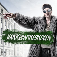 Hakkebakkeskogen 2017 - TIX, Meland x Hauken