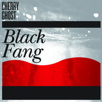Black Fang - Cherry Ghost
