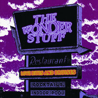 The Professional Disturber Of The Peace - The Wonder Stuff