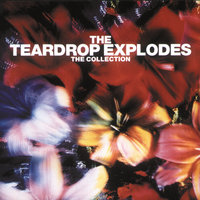 Colours Fly Away - The Teardrop Explodes
