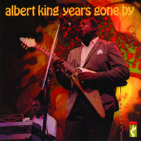If The Washing Don't Get You The Rinsing Will - Albert King